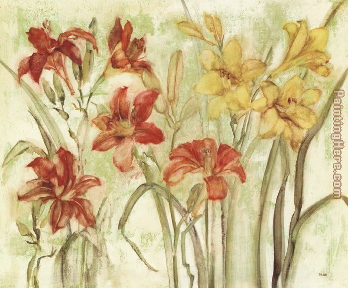 Day Lily Garden